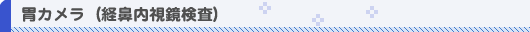midashi_ikamera.gif