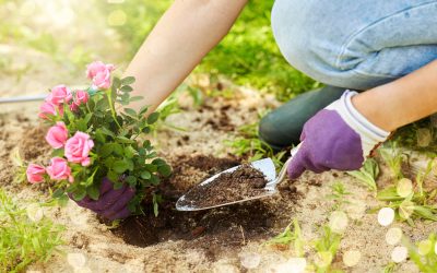 R.Nさんのオフタイム